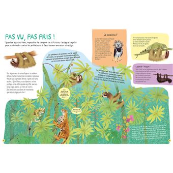 Paresseux
