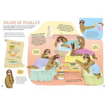 Paresseux