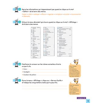Bien utiliser l'ordinateur et Internet CM1/CM2/6e