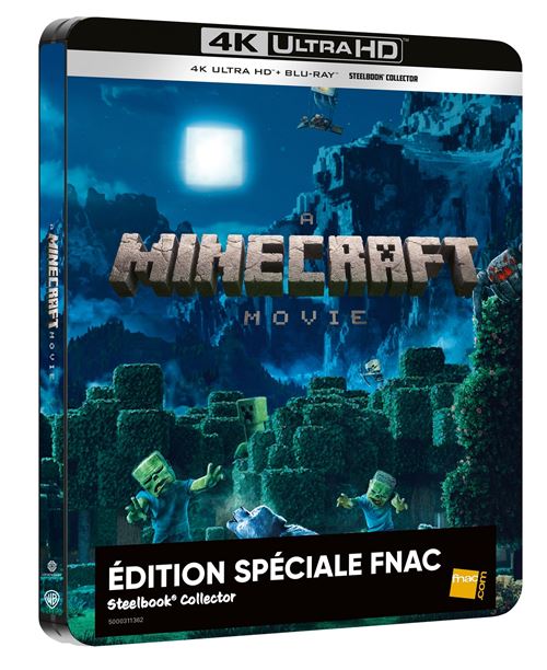 Minecraft, Le Film