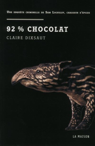 Chocolat glacé