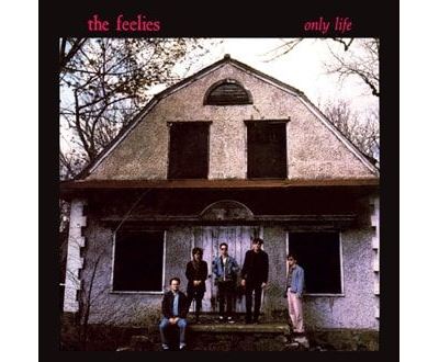 Only Life Vinyle Rouge