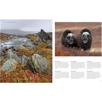 Parcs Nationaux Scandinaves