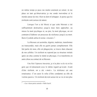 Chemin de résilience