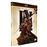 Les Trois Mousquetaires : D'Artagnan Blu-ray