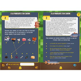 Les Enquêtes des petits génies CE2-CM1 - Terreur chez les gamers