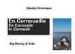 En Cornouaille