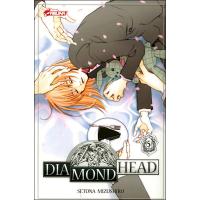 Diamond head