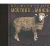 Les plus beaux moutons du monde
