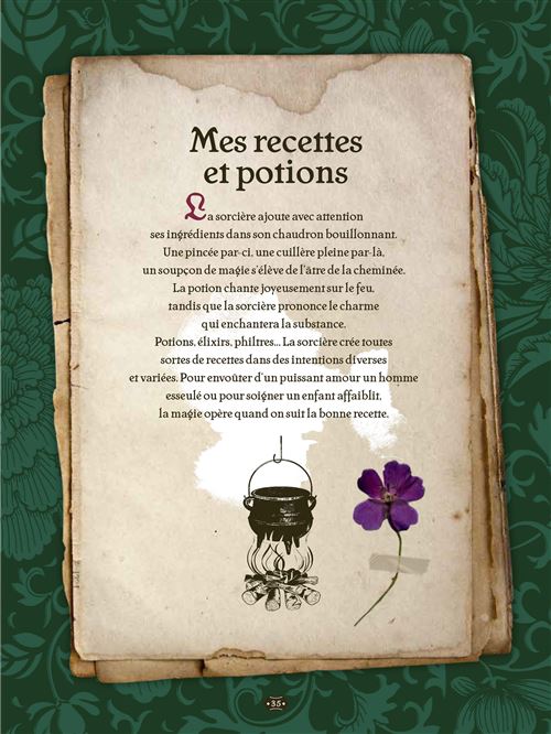 Grimoire de sorcière Sorts et potions magiques - broché - Brigitte  Bulard-Cordeau - Achat Livre