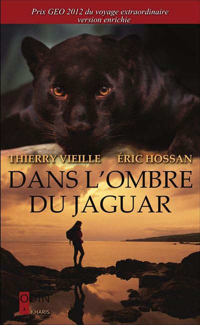 Dans l'ombre du jaguar - Thierry Vieille - broché