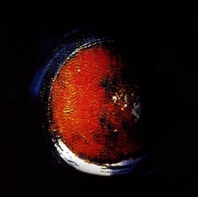 The Planet Cachexial
