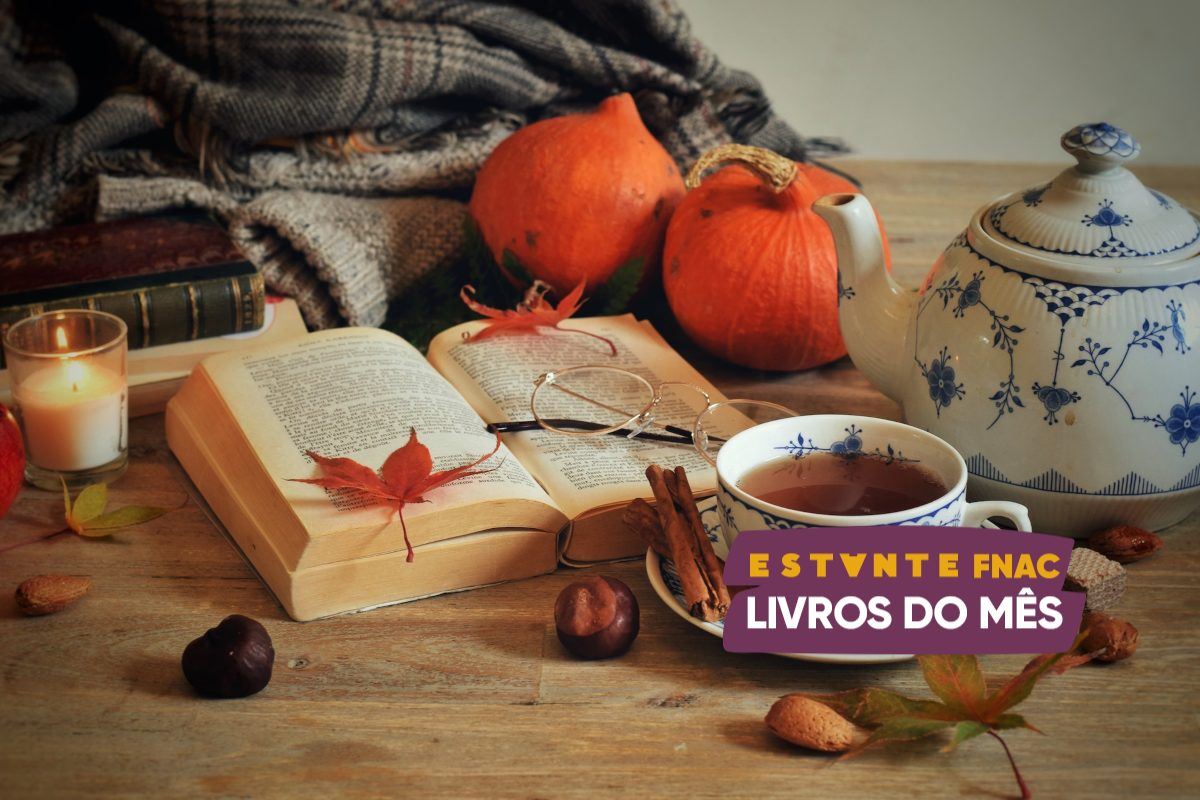 Novidades do mês: NOVEMBRO