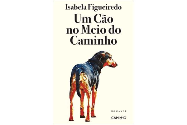 Book Club Estante FNAC: as novidades que ainda não leste - Recomendações  Expert Fnac