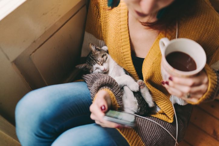 Cama de gato para bebês: como fazer em casa