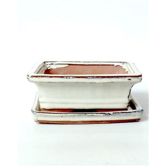 Vaso Rectangular + Prato | Luso Bonsai | 28x21,5x9 cm | Creme - 1