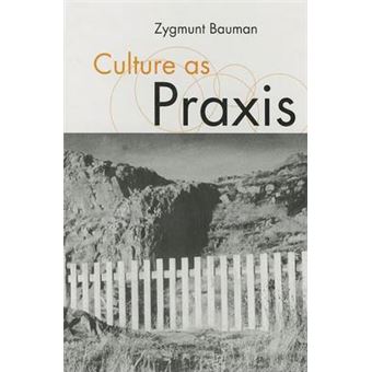 Culture as Praxis - Hardback - 1998 - 1