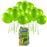 Pack Balões Bunch O Balloons Party Verde_0