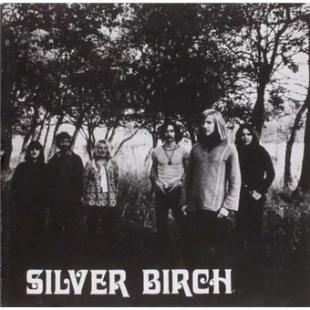 Silver Birch - 1