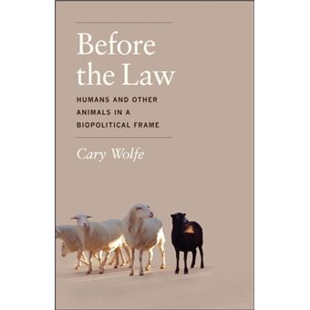 Before the Law - Humans and Other Animals in a Biopolitical Frame - Paperback - 2013 - 1