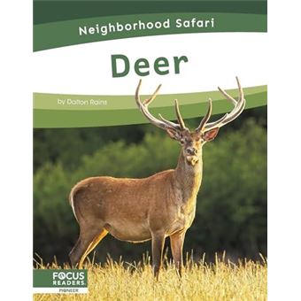 Deer - 1