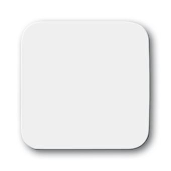 Placa de Parede e Cobertura de Interruptor Busch-Jaeger 2506 O-214 | Branco - 1