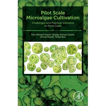 Pilot Scale Microalgae Cultivation: Challenges and Practical Solutions to Pond Crash - 1