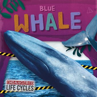 Blue Whale - 1
