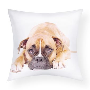 Conjunto de 2 Capas de Almofada Avizar | 40x40 cm | Cão Boxer Design - 1