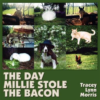 the Day Millie Stole The Bacon Paperback - - 1