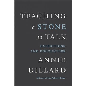 Teaching a Stone to Talk - 1