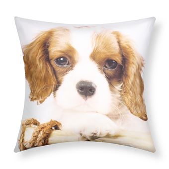 Conjunto de 2 Capas de Almofada Avizar | 40x40 cm | Cão King Charles - 1