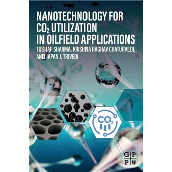 Nanotechnology For Co2 Utilization In Oilfield Applications - 1