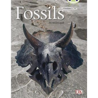 Bug Club Non-fiction Gold A/2B Fossils 6-pack - 1