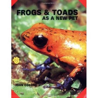 Frogs and Toads as a New Pet - 1