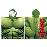 Toalha com Capuz Hulk Marvel Vingadores Microfibra_0