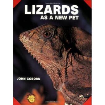 Lizards as a New Pet - 1