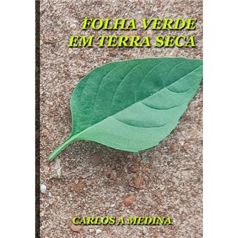Folha Verde Em Terra Seca - 1