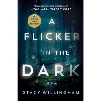 A Flicker in the Dark A Novel - 1