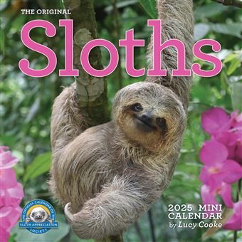 Original Sloths Mini Wall Calendar 2025: Celebrate Life in the Slow Lane - 1