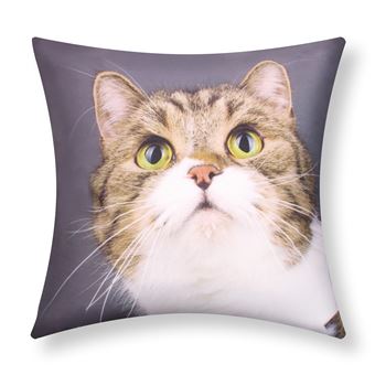 Conjunto de 2 Capas de Almofada Avizar | 40x40 cm | Desenho de bigodes de gato - 1