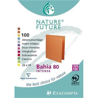 Exacompta 800001E pasta Cartão Multi cor - 1