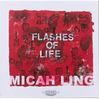 Flashes Of Life Hobart Handbooks - 1