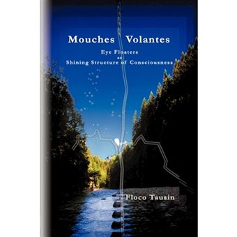 Mouches Volantes - Eye Floaters as Shining Structure of Consciousness - Paperback / softback - 2009 - 1
