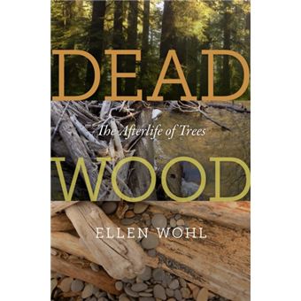Dead Wood - 1