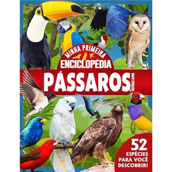 Minha Primeira Enciclopédia De Animais - Pássaros - 1