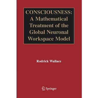 Consciousness - A Mathematical Treatment of the Global Neuronal Workspace Model - Paperback - 2014 - 1