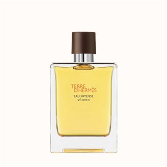Perfume Hermes Terre d'Hermès Eau Intense Vetiver | EDP | 100 ml - 1