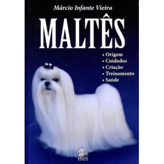 Maltês. Origem, Cuidados, Criação, Treinamento, Saúde - 1
