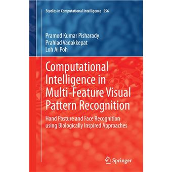 Computational Intelligence In Multifeature Visual Pattern Recognition - 1